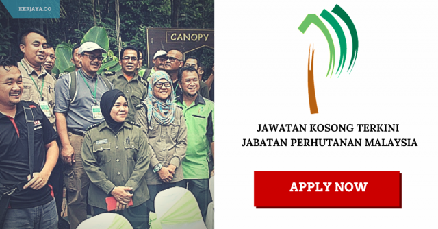 Bagaimana Mohon Kerja Jabatan Perhutanan