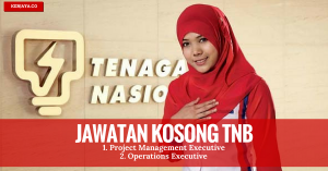 Tenaga Nasional Berhad (TNB)