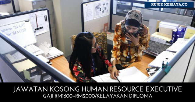 Human Resource Executive Binascape