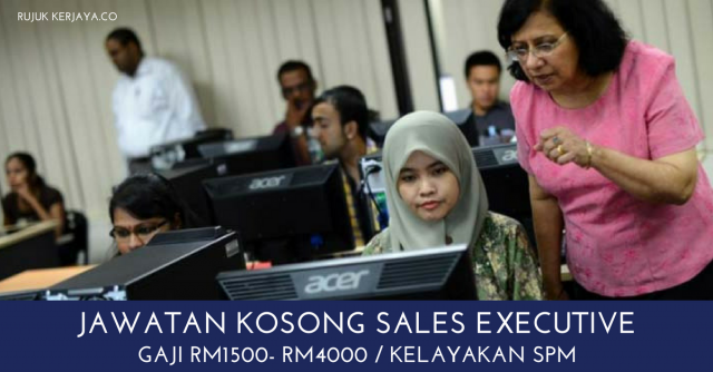 Sales Executive DSKB Holding