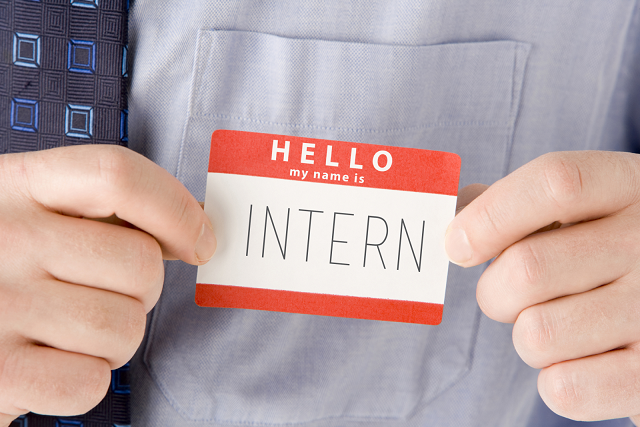 Admin Internship di WSA Land