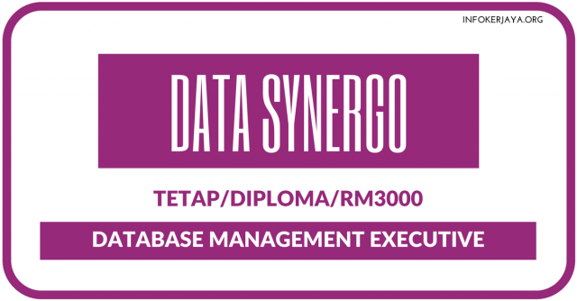 Database Management Executive di Data Synergo