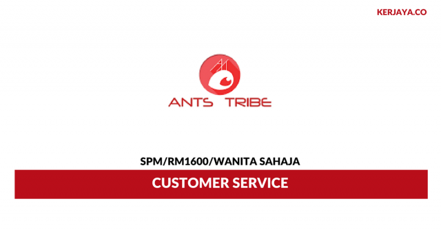 Ants Tribe ~ Customer Service