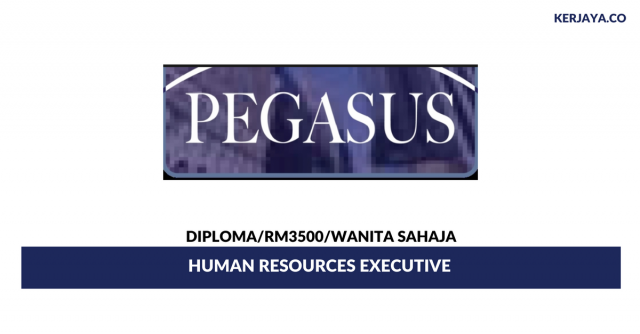 Pegasus Programing ~ Human Resource Executive