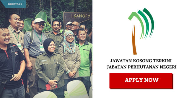 Jabatan Perhutanan Negeri