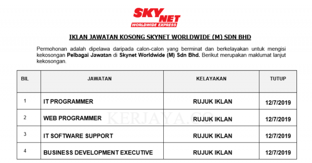 Skynet Worldwide ~IT Programmer, Web Programmer,IT Software Support & Business Development Executive