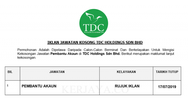 TDC Holdings ~ Account Assistant