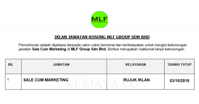 MLF Group ~ Sales Cum Marketing
