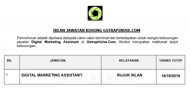 GstrapInUse.Com ~ Digital Marketing Assistant