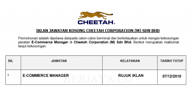 Cheetah Corporation ~ E-Commerce Manager