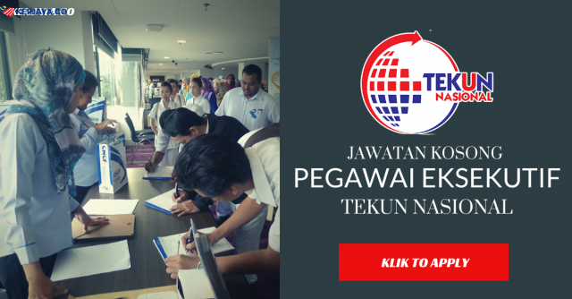 Tekun Nasional, Kekosongan Jawatan Pegawai Eksekutif