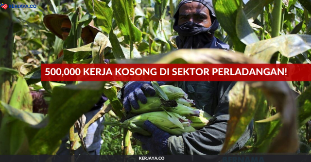 500,000 Kerja Kosong Di Sektor Perladangan Untuk Diisi Rakyat Malaysia