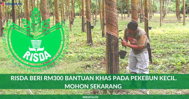 RISDA Beri RM300 Bantuan Khas Pada Pekebun Kecil. Mohon Sekarang