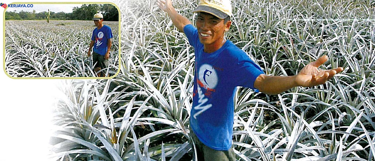 Usahawan Pertanian B40, Mohon Pembiayaan Mikro Hingga RM30,000 Untuk Kembangkan Perniagaan