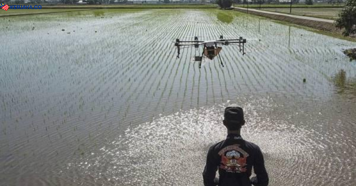 Guna Dron Untuk Jana Pendapatan Sehingga RM5,000 Sebulan Dan Mencipta Peluang Pekerjaan Untuk Orang Lain