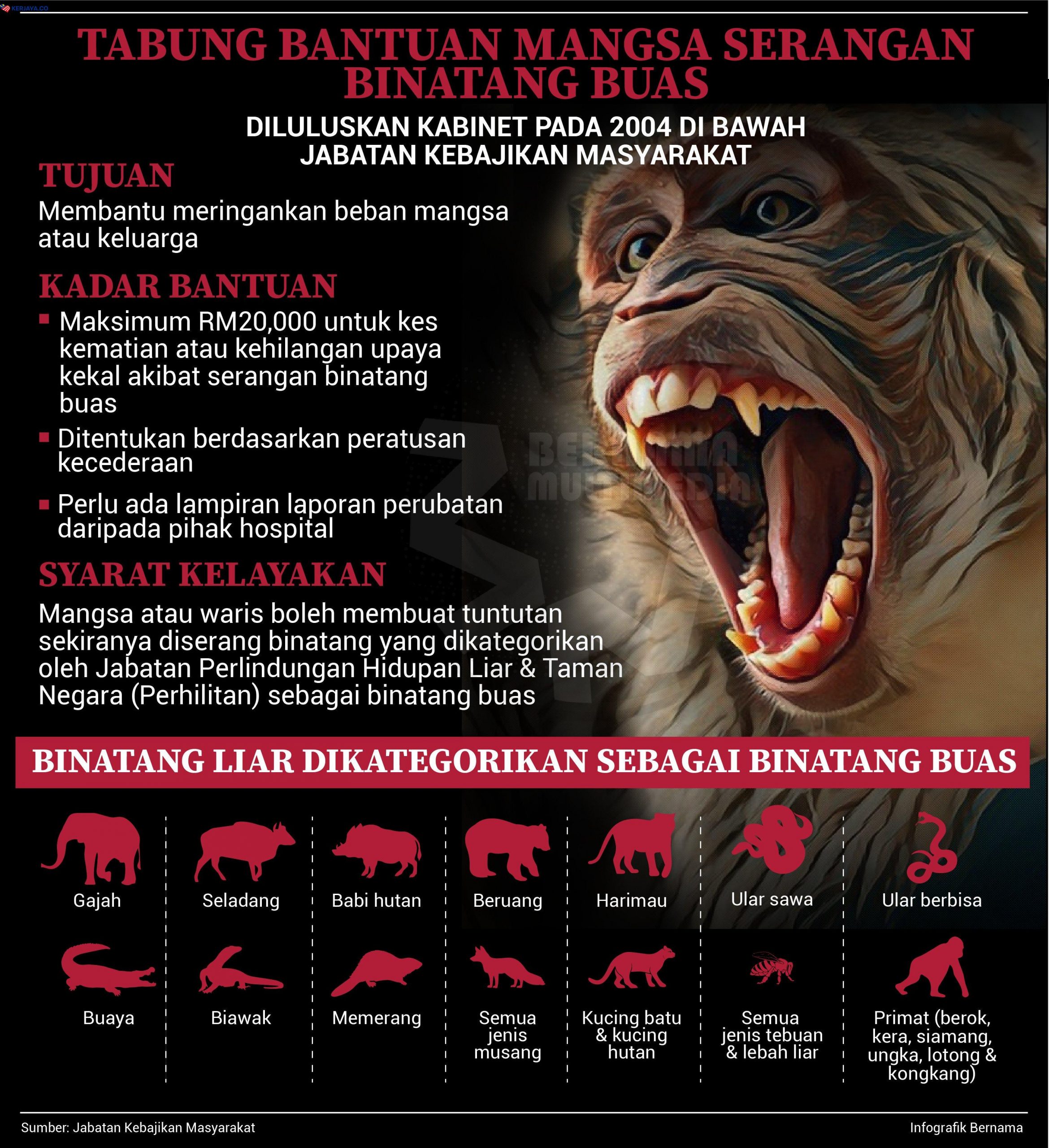 RM20,000 Bayaran Melalui Tabung Bantuan Mangsa Serangan Binatang Buas JKM. Cara Mohon Dan Semakan Kelayakan Disini