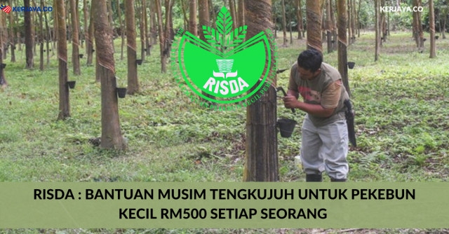 RISDA : Bantuan Musim Tengkujuh Untuk Pekebun Kecil RM500 Setiap Seorang